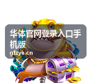 华体官网登录入口手机版验证码填写界面的示意